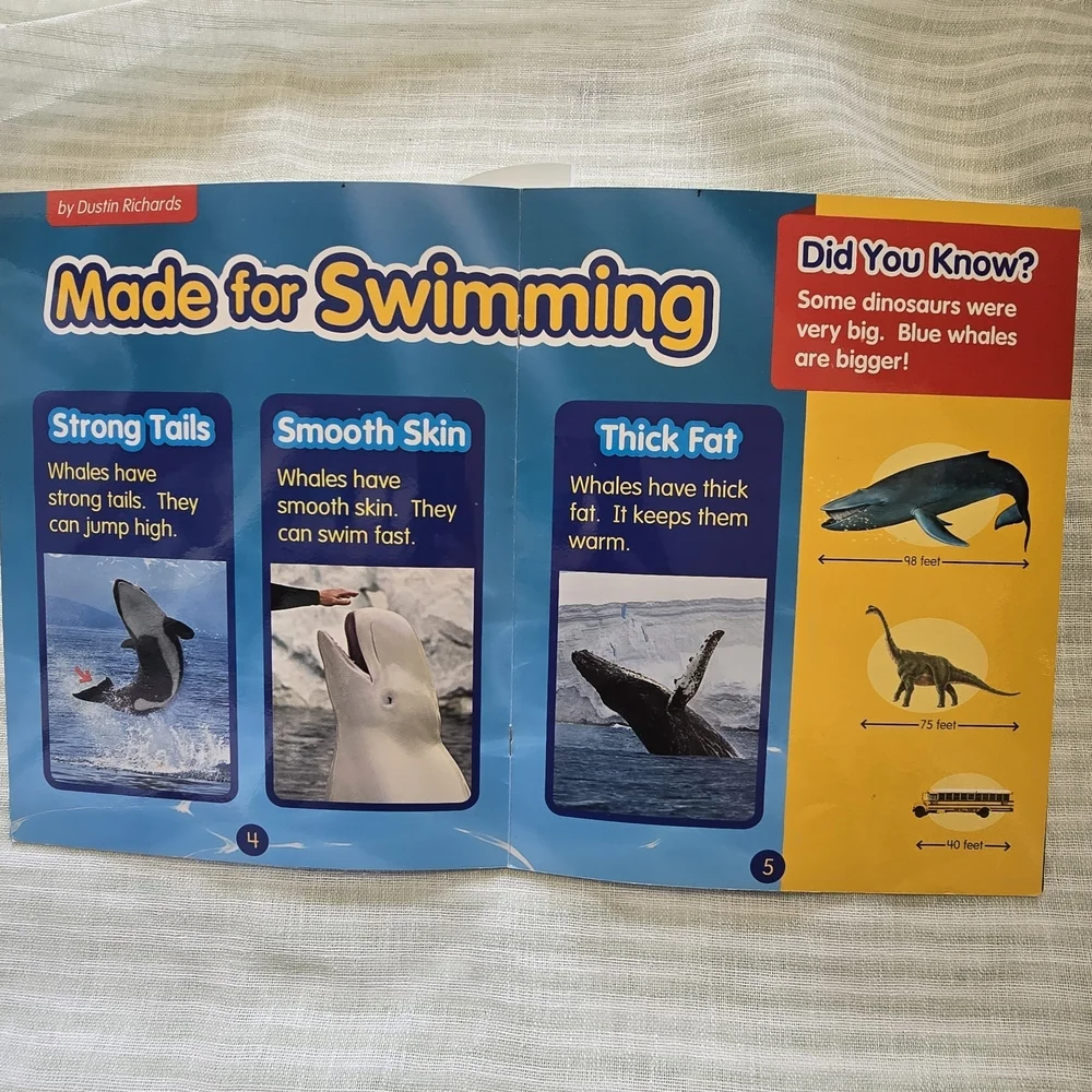 Whales Kids Activity Book - Blue Children's Educational BOOK
